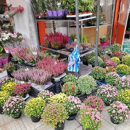 Good Mood Διαμέρισμα