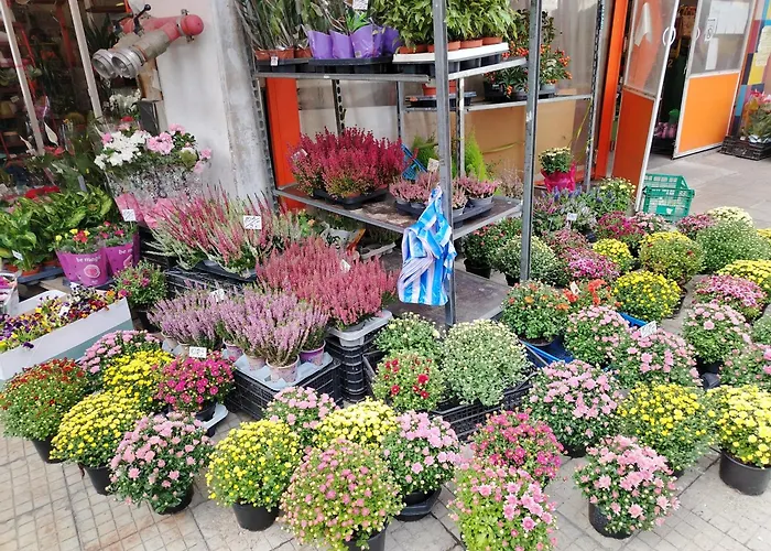 Good Mood Apartamento